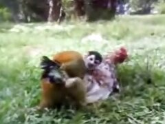 Black bestiality sex