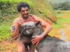 Zoo Porn Videos - Best Animal Sex Clips HD