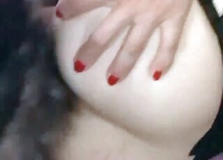 Close-up view of a dog's hard pecker penetrating brunette's pussy