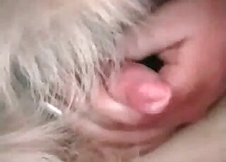 Nasty brunette loves sucking the hard pecker of a fluffy dog