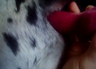 دلماسي ذو ثقب قذر يستمتع بفتحة القضيب وأشياء أخرى