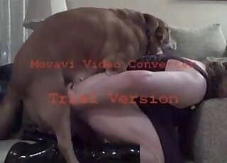 Zoophile dressed in black gets fucked by a brown dog from behind