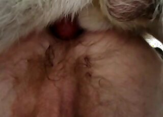 Pasty zoophile with a sexy nutsack is getting fucked in the booty