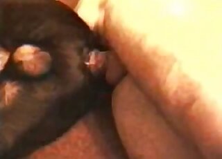 Sideways fucking and passionate gape with a black dog that cums