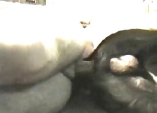 Sideways fucking and passionate gape with a black dog that cums