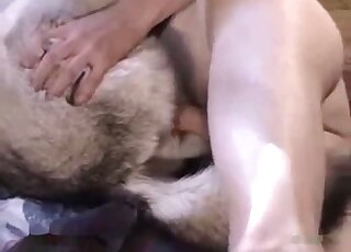 فيلم جنسي جانبي يركز على كلب يأخذ قضيبه عميقًا في الداخل