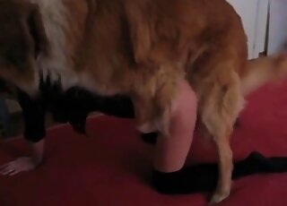 Sexy and firm-assed hottie getting fucked by a kinky animal here