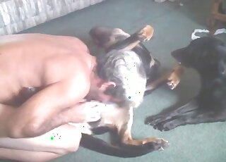 Blondie with short hair enjoying passionate oral with a black dog