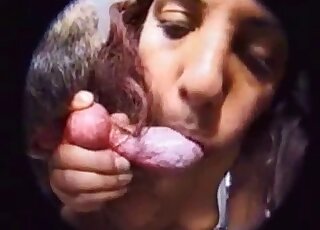 فتاة ذات شعر أحمر تفقد السيطرة وهي تمتص قضيب كلب على الأرض