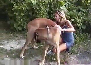 Brown dog easily seduces a tight-bodied babe in a skintight dress