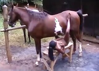 Ponytailed Latina with brown skin is ready to blow a brown horse
