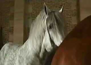 Sexy white pony entering this beast's tight brown hole form behind