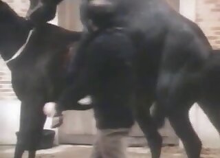 Horny zoophile dude is inspired by these animals and how they fuck