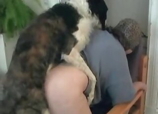 Round-assed zoophile with a perfect backside in a hot taboo video