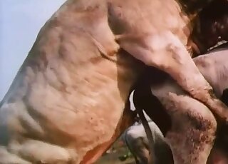 Different animals consumed by the same lust in free online pornos