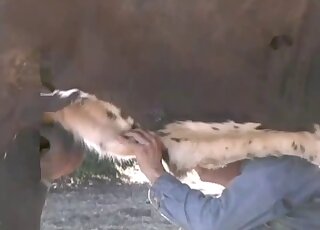 فيديو إغراء في الهواء الطلق مع رجل واثق من نفسه مع قضيبه الكبير