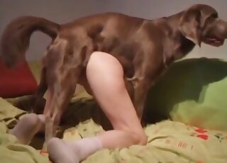 Brown dog stuffs kneeling girl's pussy full of hard cock and cum