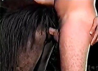 Latino stud gives pussy fingering to horse before deep dicking
