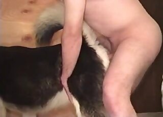 Big dick guy dominates his pet dog amateur bestiality video