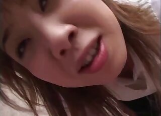 Japanese teen girl loses zoo virginity to erect black Labrador