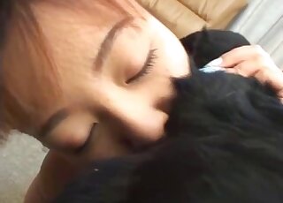 Young Japanese babe is tasting dog's butt for the very first time