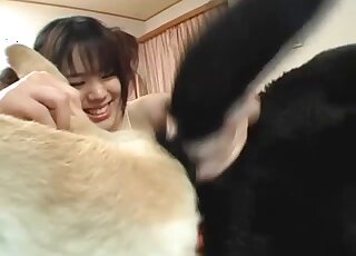Oriental teen with pigtails adores tasting dog asshole in zoo 3some