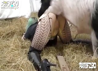 فرخ ذو شعر أخضر يتعرض للضرب والكريمة من قبل خنزير سمين في حظيرة