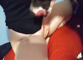 Amateur broad films oral and banging seance with pet dog