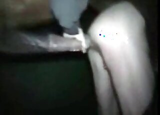 Dude's ass gets fucked by a horse from behind in a zoo porn