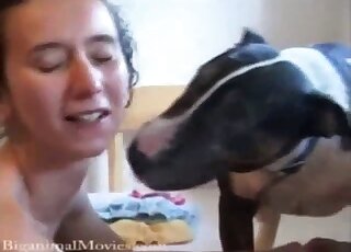 Skinny girl spreads legs for pussy munching favor from horny doggy