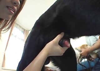 Shiny booty Japanese babe wants this black dog to fuck her up for real