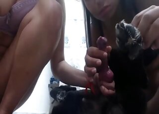 نساء بلا أخلاق يستمتعن بالضرب العنيف مع وحش أسود