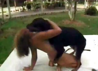 الكلب المثار على وشك أن يبدأ في ممارسة الجنس مع تلك العاهرة النحيلة