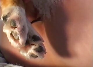 جلسة حلق مع كلب يفضل ممارسة الجنس مع العاهرات اليابانيات