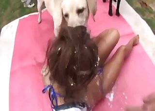 Creamy treat for a hot Asian in her first zoophilia play