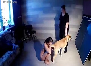 تظهر مقاطع إباحية هوت دوج على الكاميرا هواة عراة يحاولون القيام بانحرافات جديدة