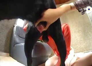 Aroused Asian sluts play with a thick dog dick like real sluts