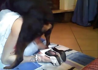 كلب أسود يمارس الجنس مع فتاة يابانية بعنف ويدخل في مهبلها
