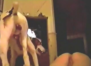 Big ass sluts involve their dog into a harsh outdoor fuck