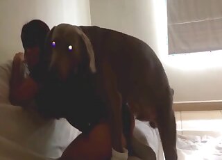 Pair of lesbian slut involve a dog into very intimate zoo perversions