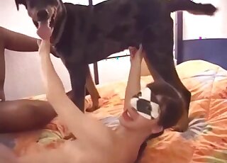 Lesbians make out and involve dog in really harsh sexual fantasy