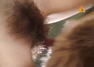 Amateur whores combine zoophilia with their kinky masturbation play