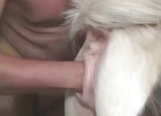 Gay Latino fist fucks tiny horse before fucking it in crazy manners