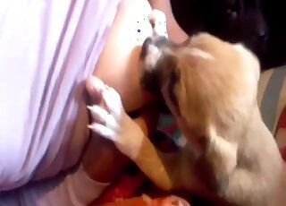Busty amateur woman breast feed ssmall puppy feeling quite horny