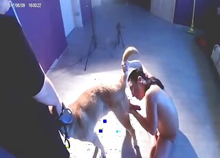 Webcam lesbian fetishes in scenes of raw zoophilia