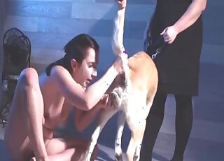Intense dog porn leads nude amateur woman to swallow cum