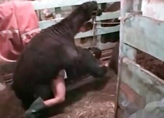 Dirty-minded zoophile cannot stop that passionate fucking session