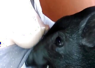 Sexy animal sucking on them titties in a hot porn movie with a twist