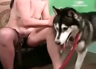 Asian brunette wants that husky to fuck her wet pussy right now
