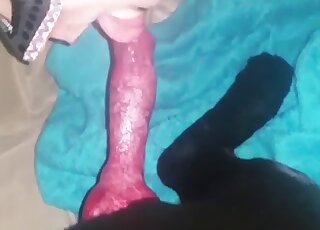 Black mask babe is going to suck on a black animal's red penis
